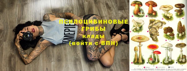 МДПВ Верхний Тагил